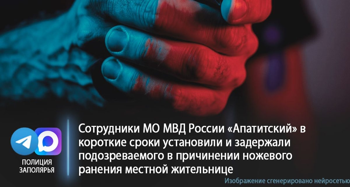 В Апатитах женщину ранили ножом во время пьяного конфликта, подозреваемого вскоре задержали