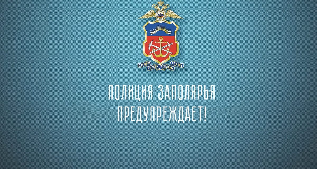Лось вышел к остановке на проспекте Кольского, но скрылся от приехавшей полиции